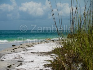 florida, key, ocean, tropical, beach, egmont key