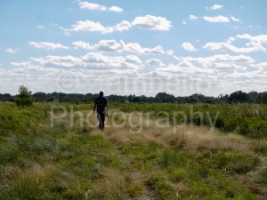 florida, walking, field, conner preserve, sky, landscape, vista, nature, wildlife, environment
