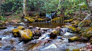 pisgah, forest, north carolina, camping, river