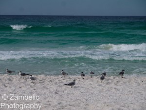 emerald coast, florida