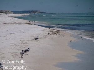 emerald coast, florida