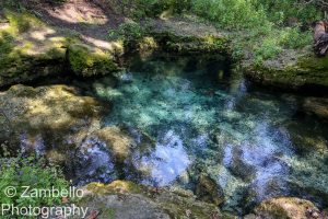 florida spring, florida, suwannee river