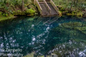 florida springs, florida