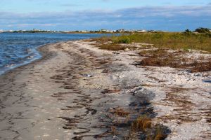 beach, gulf islands, florida