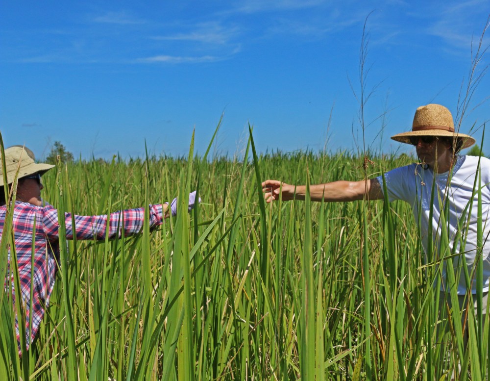 Handing over samples at the SALTEx site.