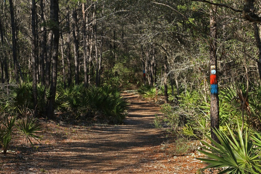 deer lake, state park, florida