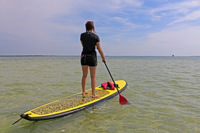 paddleboard, nature, landscape, florida