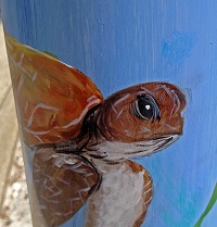 fishing, line, recycle, nature, florida, sea turtle