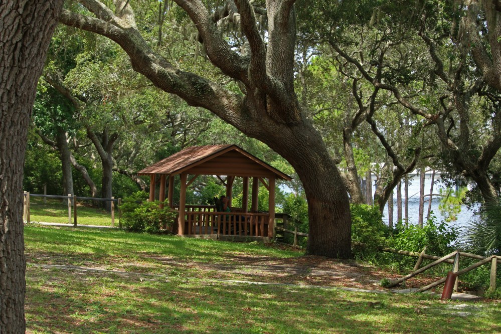 florida, travel, nature