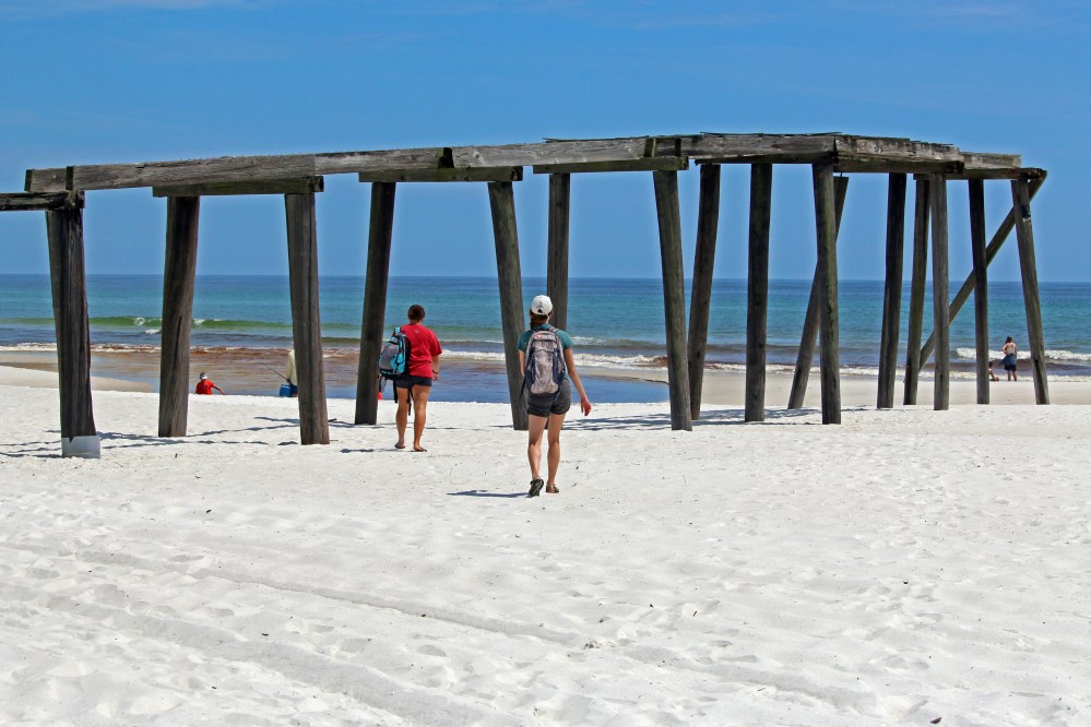 Florida, beach, nature