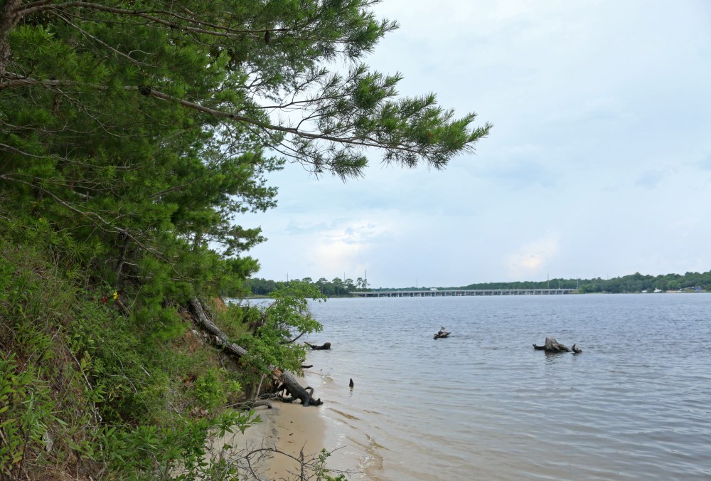 rocky bayou, nature, landscape, florida