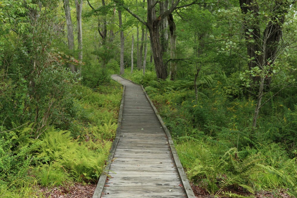 Maine, wells reserve, nature