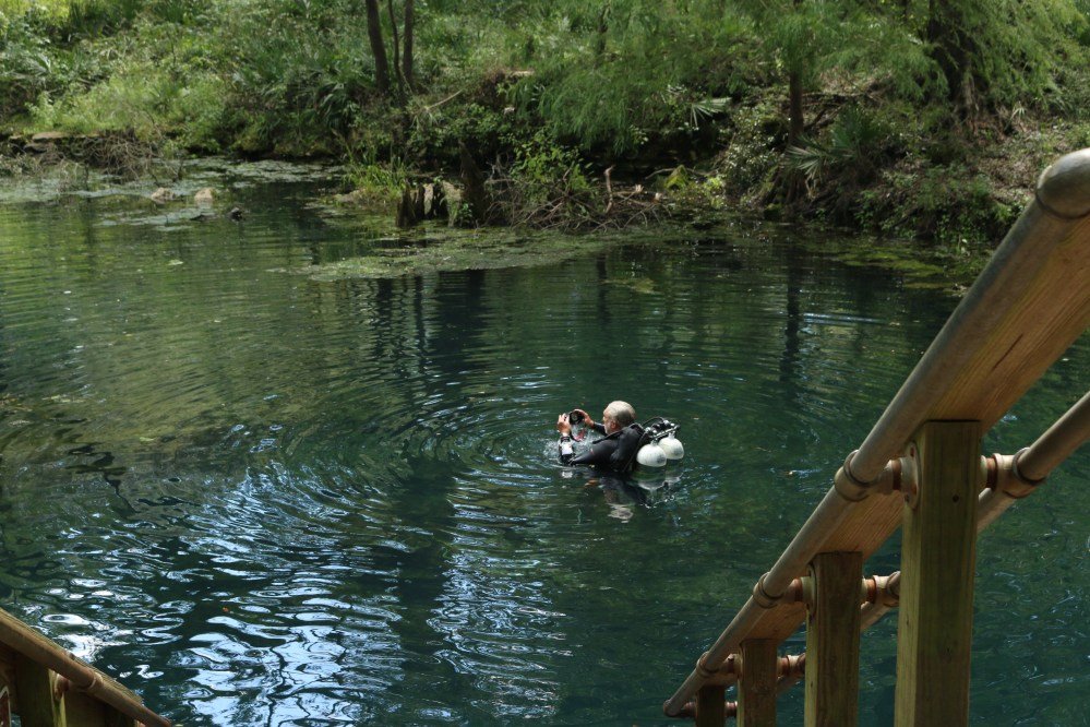 florida, nature, travel