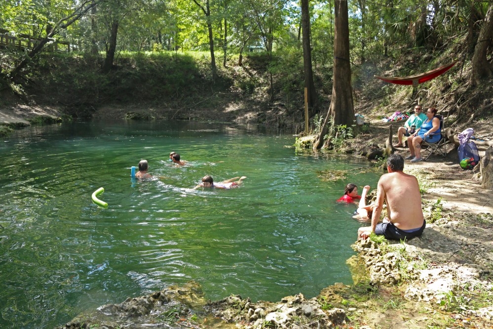 florida, nature, landscape