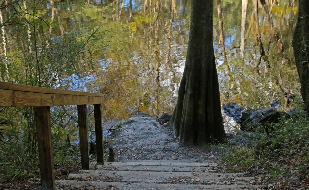 nature, florida, landscape