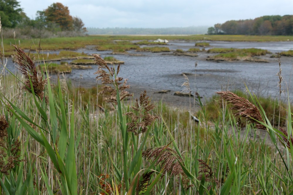 Maine, wells, nature