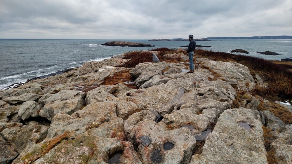 maine, nature, birding
