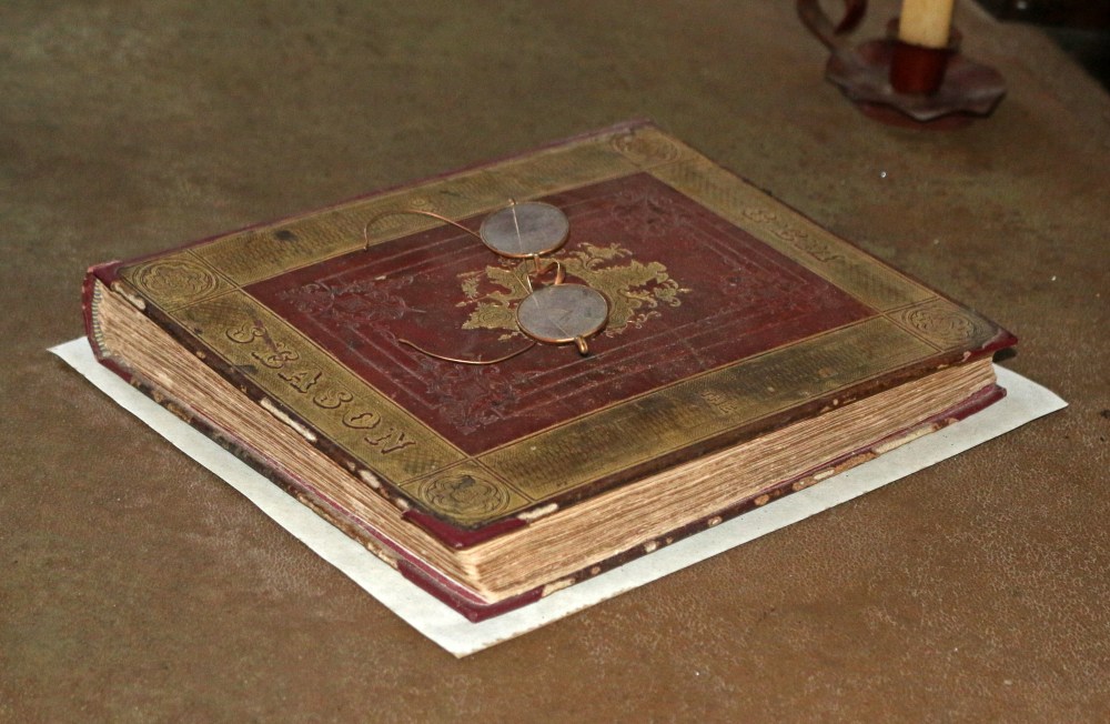 florida, nature, landscape