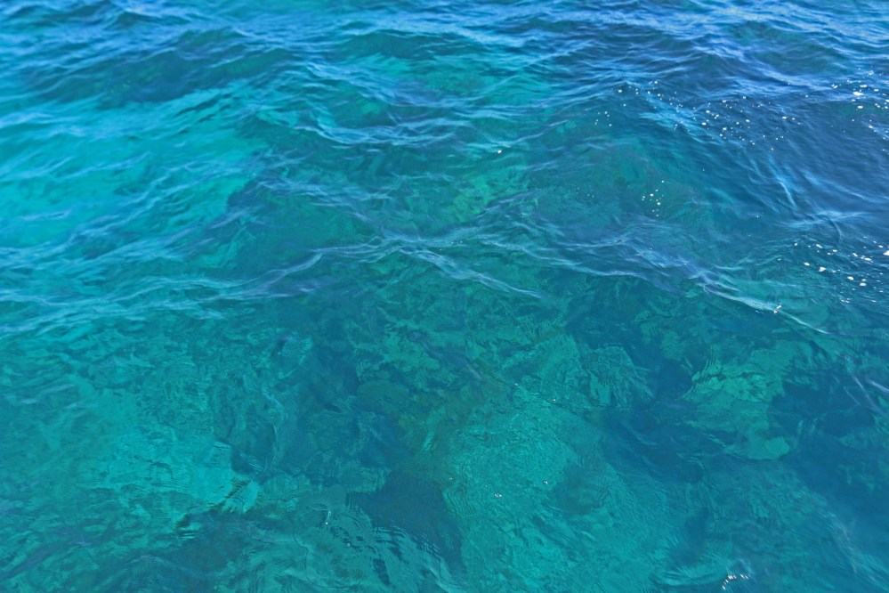 florida, nature, landscape