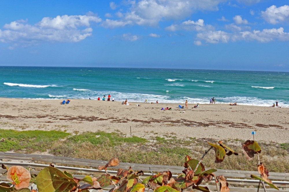 florida, nature, travel