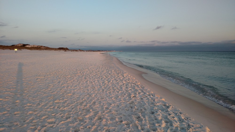 florida, nature, sunset