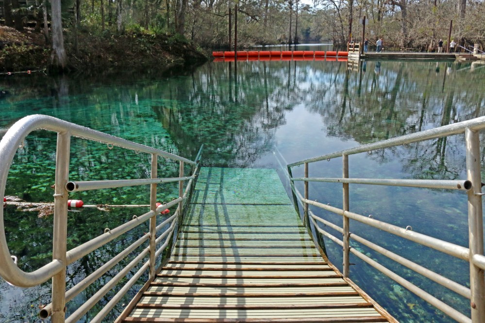 florida, nature, landscape