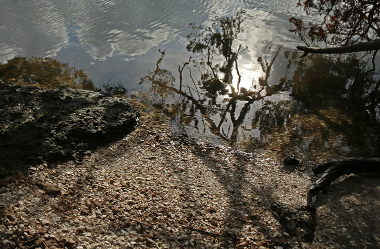 florida, nature, landscape