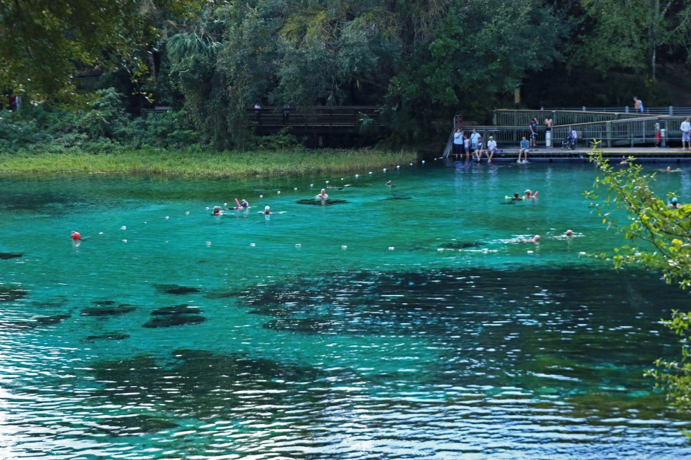 Rainbow springs, florida, nature