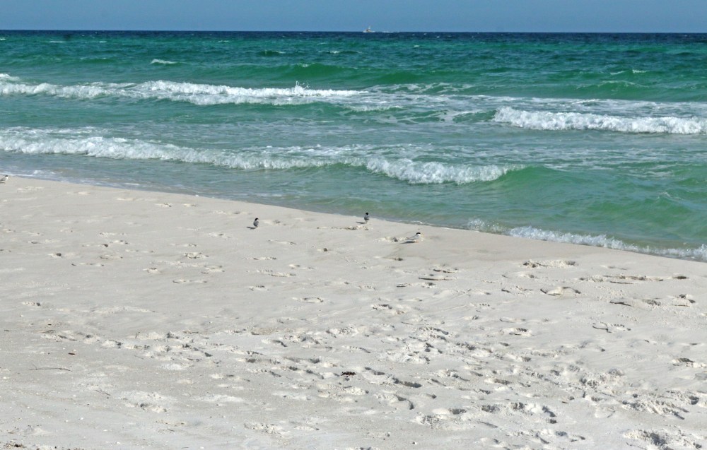okaloosa island, nature, landscape, travel