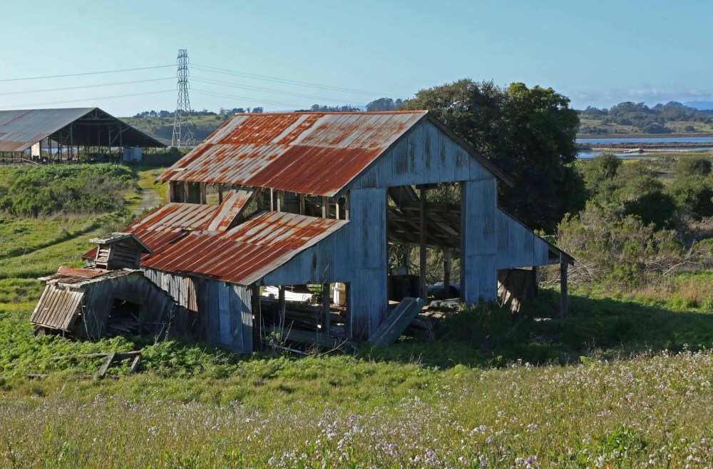 nature, landscape, california, elkhorn slough