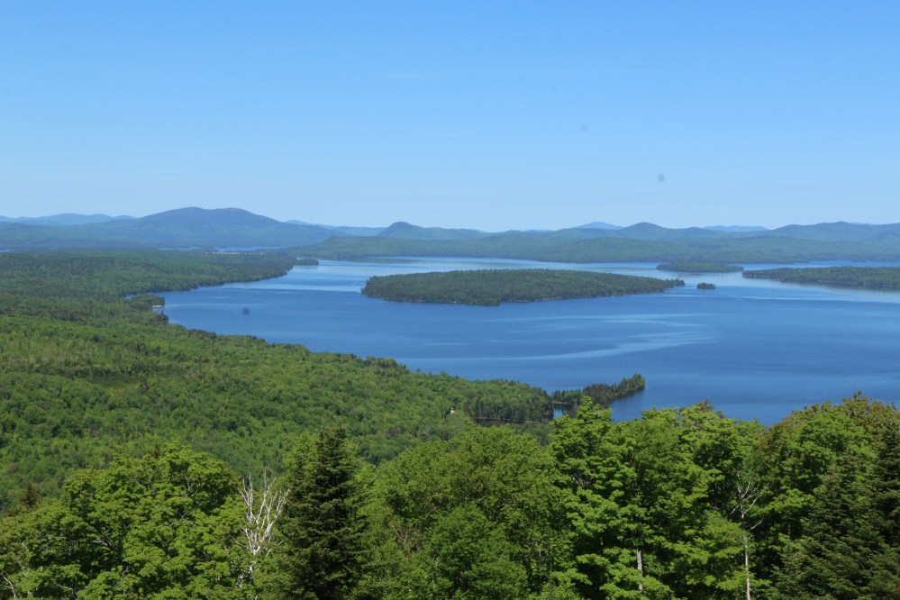 maine, nature, landscape, birding