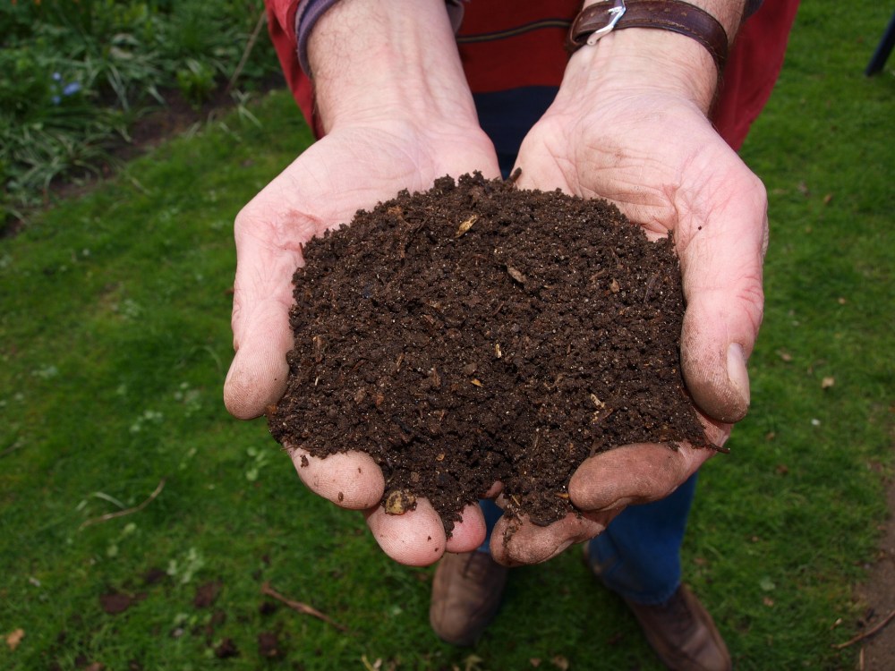 compost, nature, sustainability