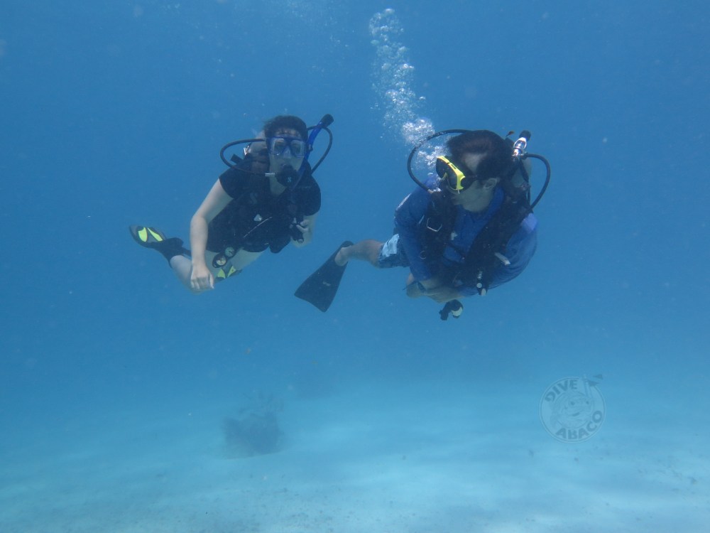 nature, landscape, diving, bahamas
