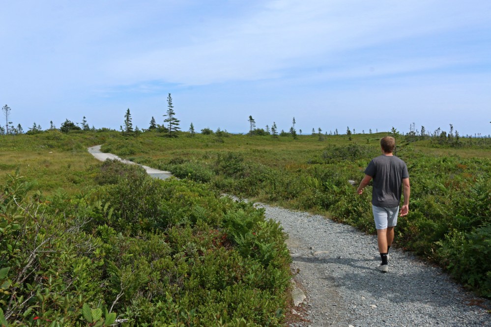 nova scotia, nature, park