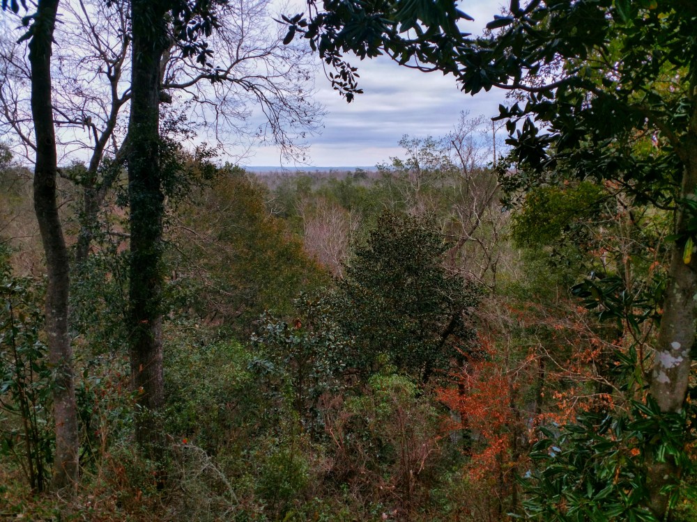 University of West Florida, nature, birding