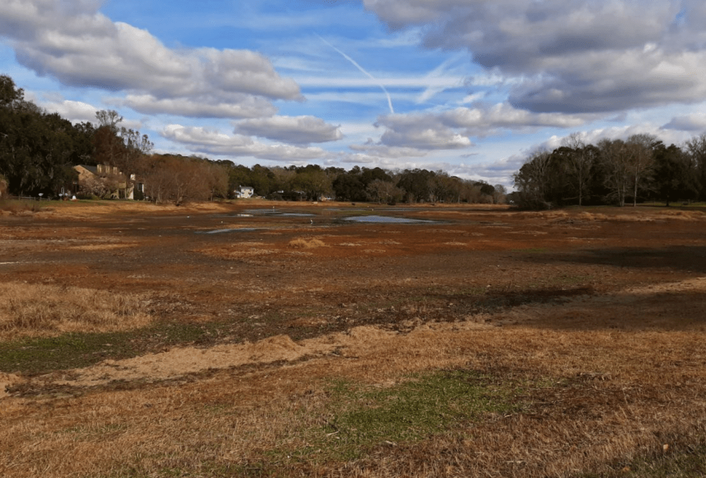 Screen Shot 2022-02-03 at 1.55.30 PM