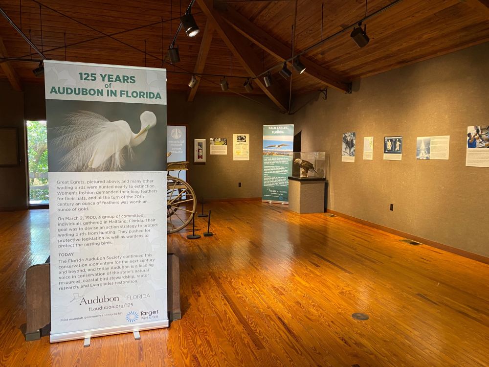 signs hanging on walls of a room with a wood floor