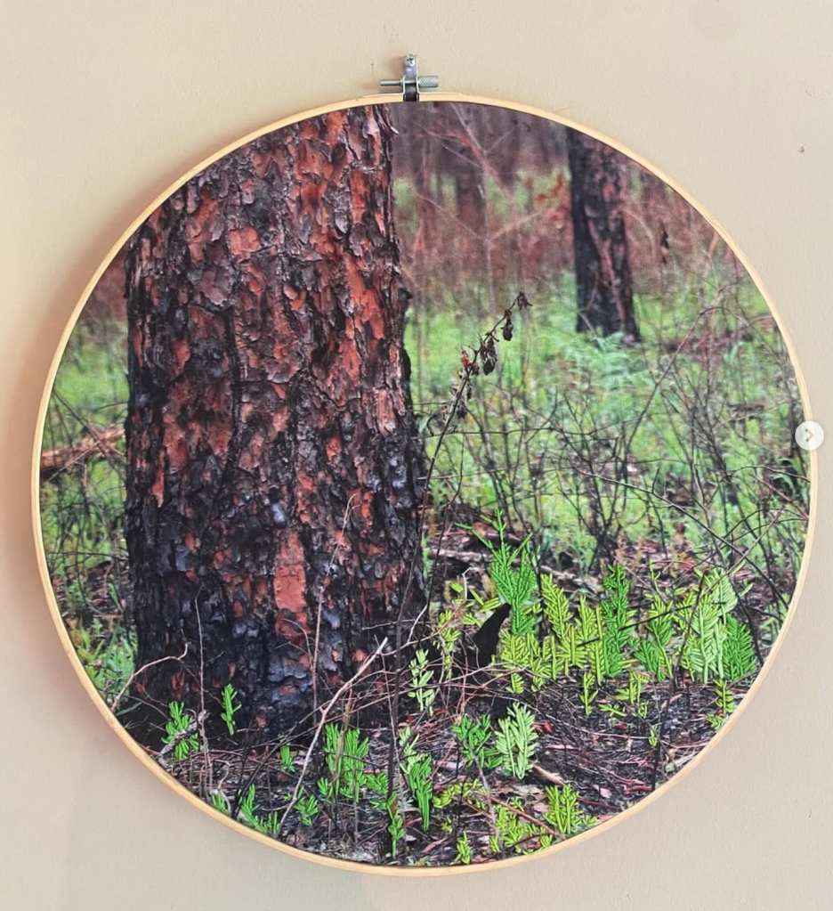 embroidered photo of plants and a tree trunk